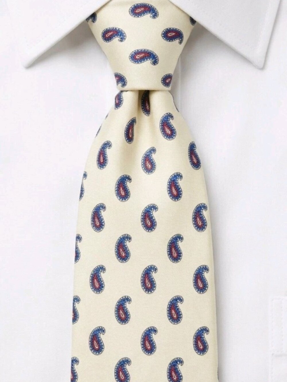 RARE! 1970s CHRISTIAN DIOR WPL125 Branded Tipping Italian Silk Paisley Tie USA